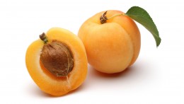 APRICOTS