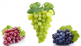 GRAPES