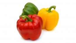 BELL PEPPER