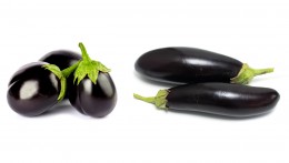 EGGPLANT